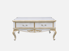 Coffee Table CT - 1145 - RITONG HOME Furnishing