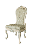 French Dining Chair DC - 365 - RITONG HOME Furnishing